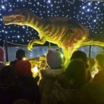 0 02 04 f7bcc43e3c3d9fc7c66bc0638a1dc720518c5a201e6130c85016b189759fdbb7 1c6d8fd7f49803